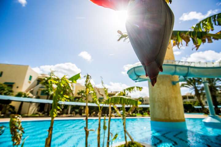 Pool 36 of 82