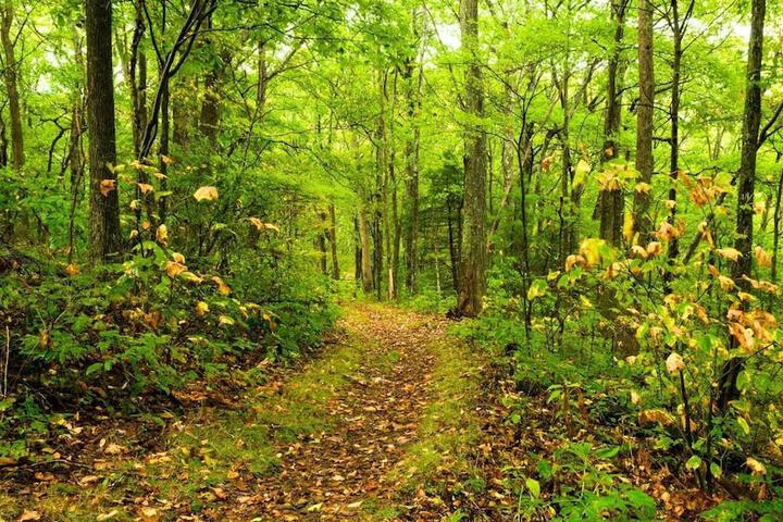 Hiking