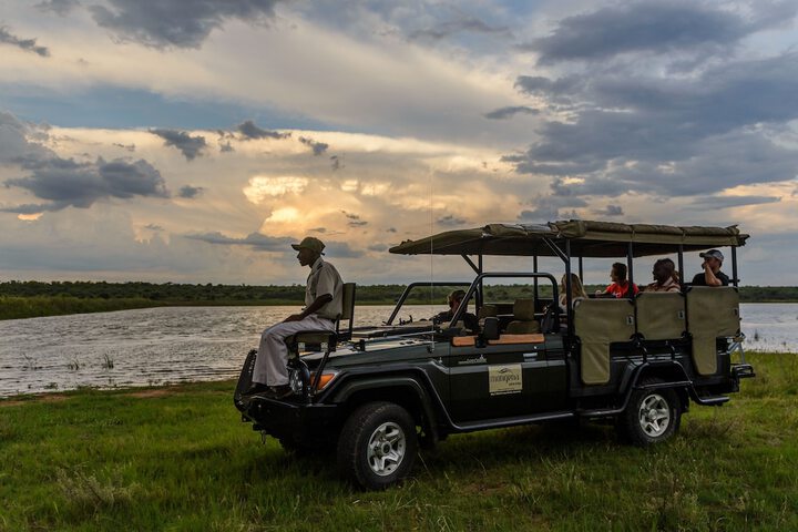 Safari