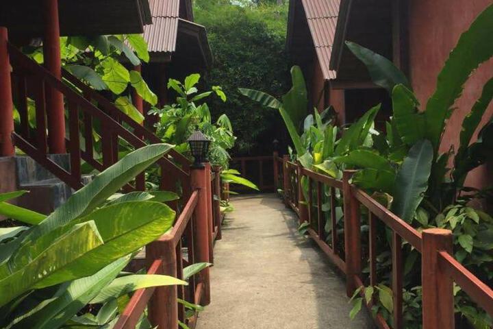 Spa and Wellness Pictures