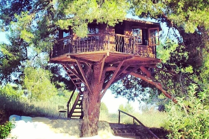 Property Grounds 15 of 19
