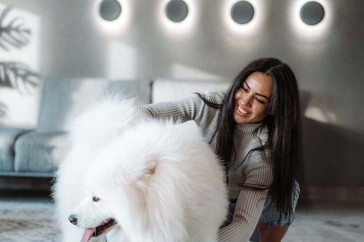 Pet Friendly 60 of 95