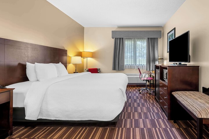 1 King Bed Microfridge High Speed Internet Full Breakfast (15 of 18)