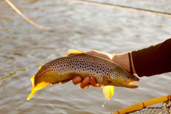 Outdoor Activities 31 of 46