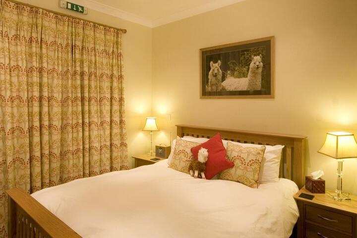 Room 31 of 118