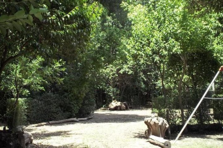 General 6 of 10