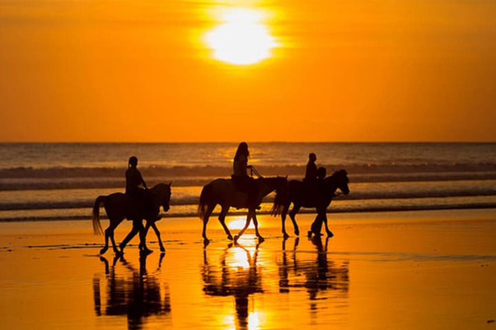 Horseback riding