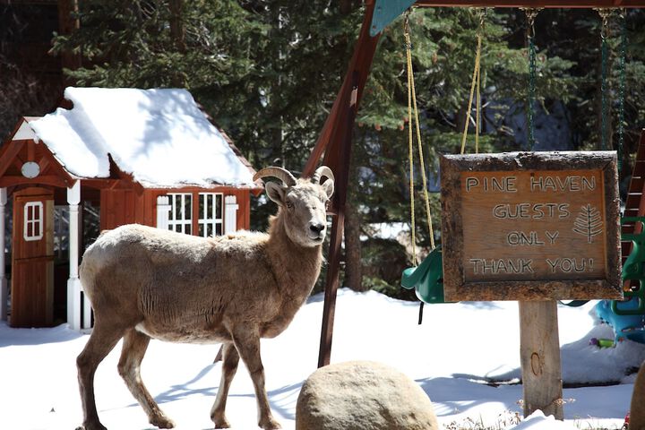 Property Grounds 154 of 183