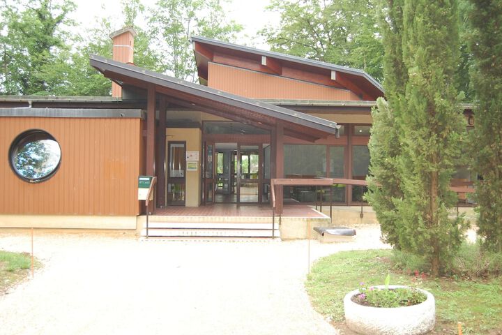 Photo 5