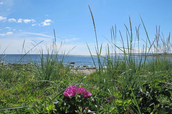 Beach 33 of 39