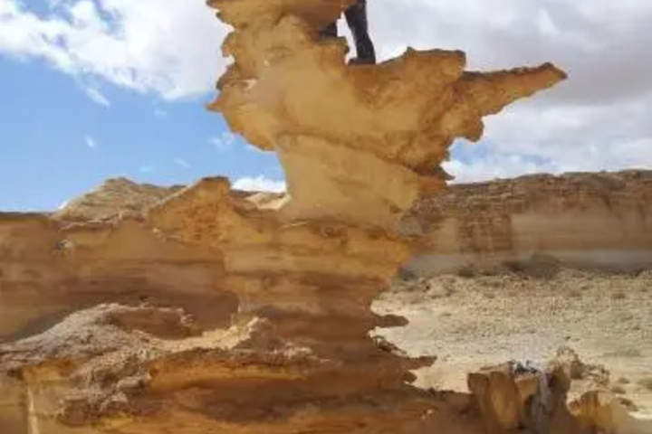 General 12 of 13