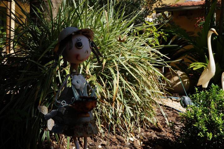 Photo 24