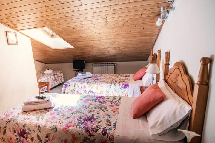 Room 12 of 65