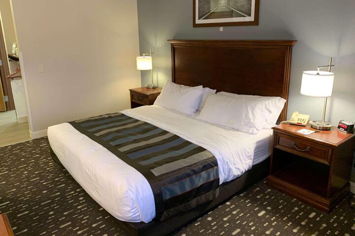 1 King Bed (16 of 19)