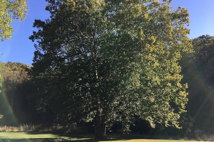 Wedding/Banquet 50 of 55