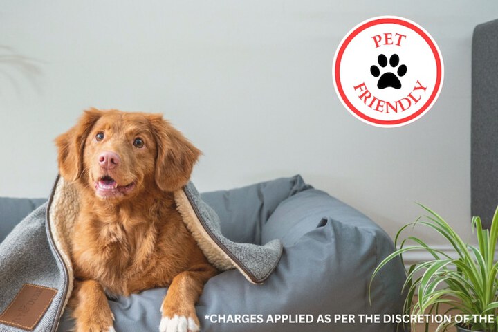 Pet Friendly 40 of 44