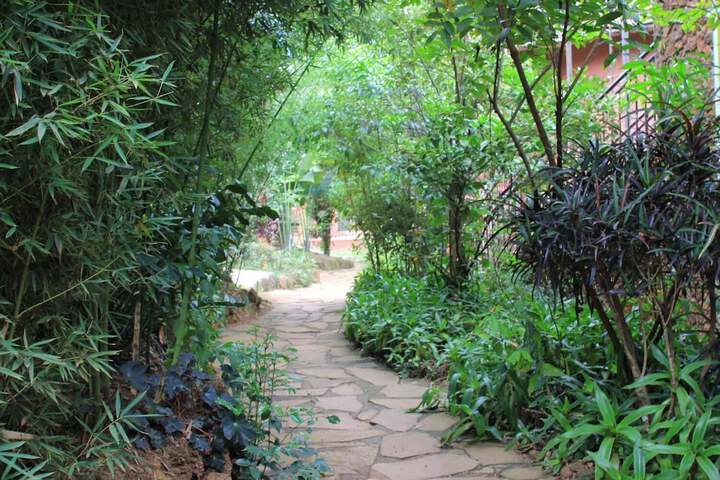 Property Grounds 19 of 24