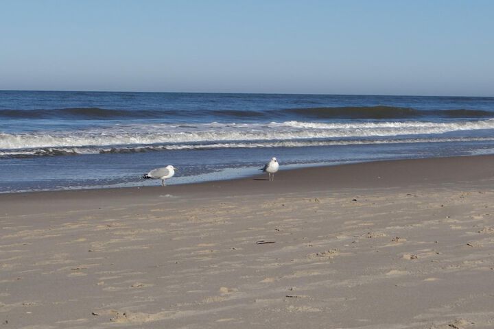 Beach 75 of 79