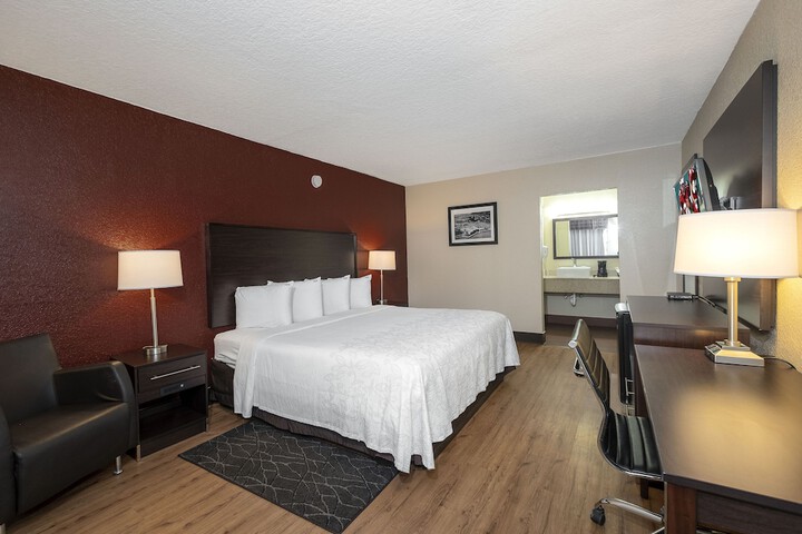 Standard | King Bed (4 of 17)