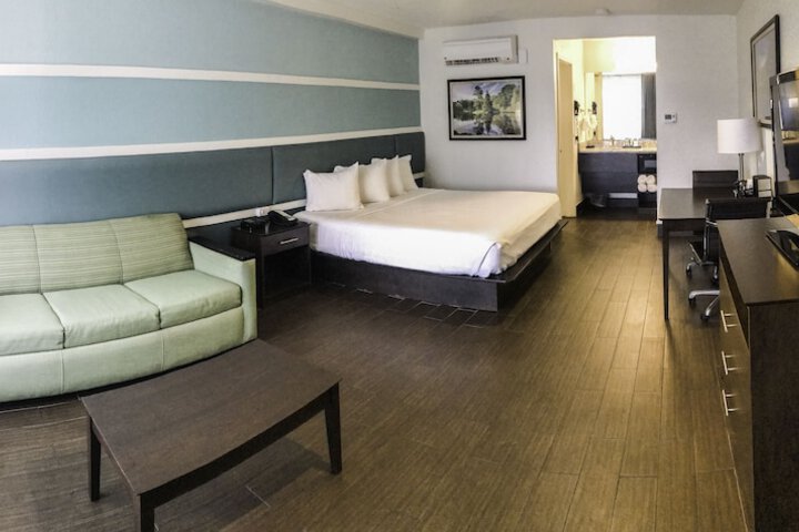 1 King Bed Accessible (6 of 14)