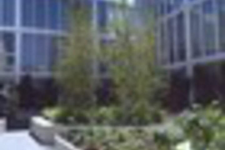 Property Grounds 59 of 66