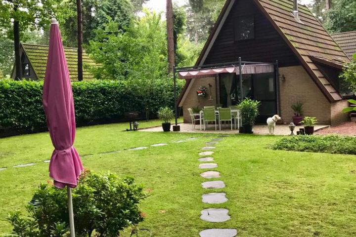 La Casita E41