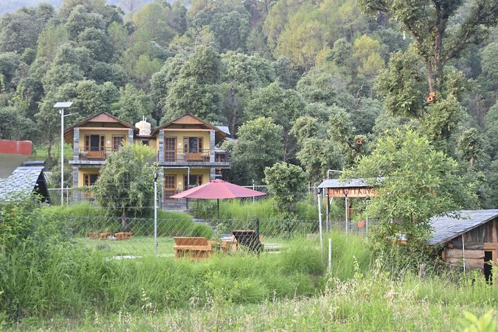 The Wild Planet - Treehouses & Cottages
