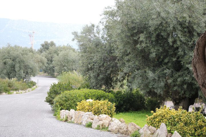 Property Grounds 19 of 26