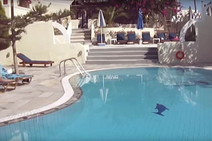 Pool 43 of 56