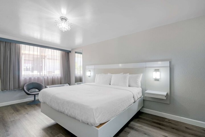 1 King Bed Accessible (1 of 24)
