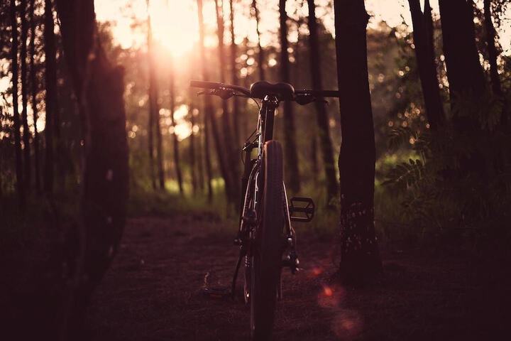 Outdoor Activities 26 of 54