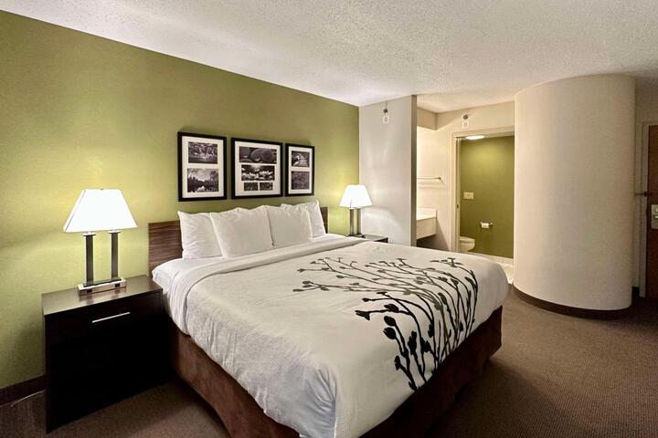 1 King Bed (5 of 11)
