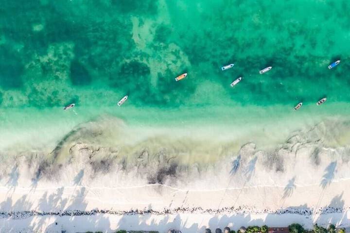 Beach 95 of 114
