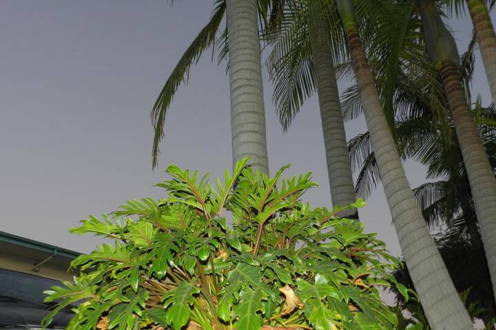 Property Grounds 28 of 51