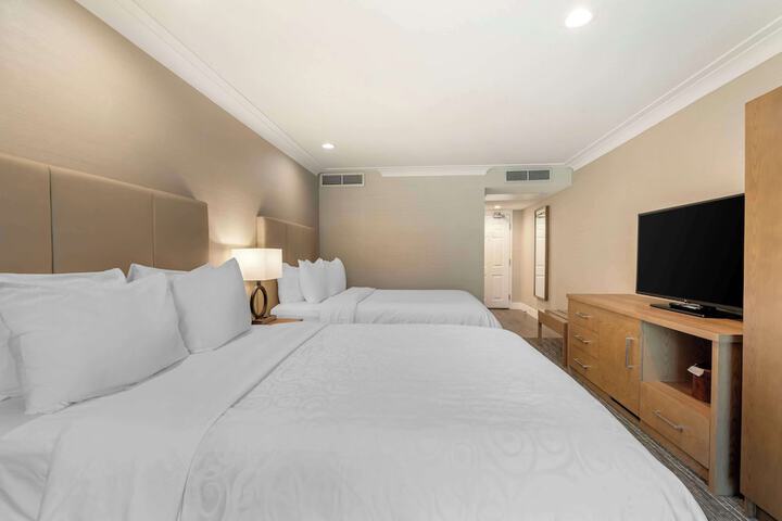 Room 20 of 76