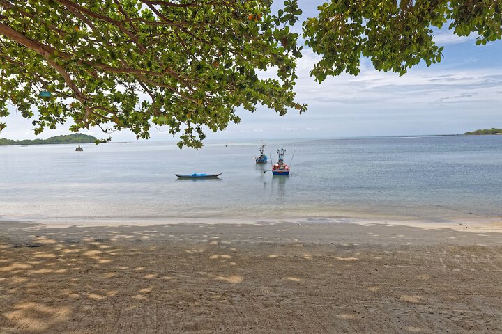 Beach 54 of 68