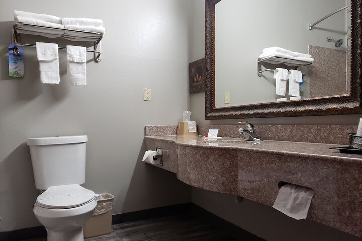 Bathroom sink