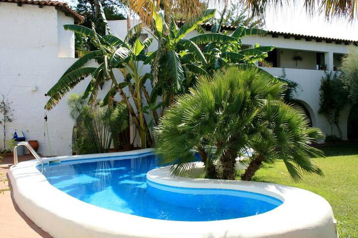 Hotel Pool