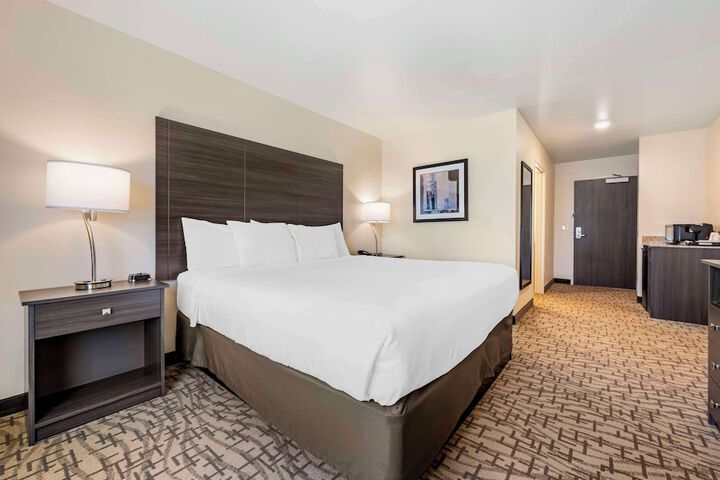 1 King Bed (16 of 21)