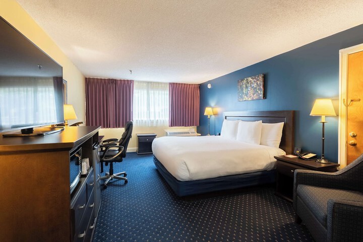 1 King Bed (17 of 39)
