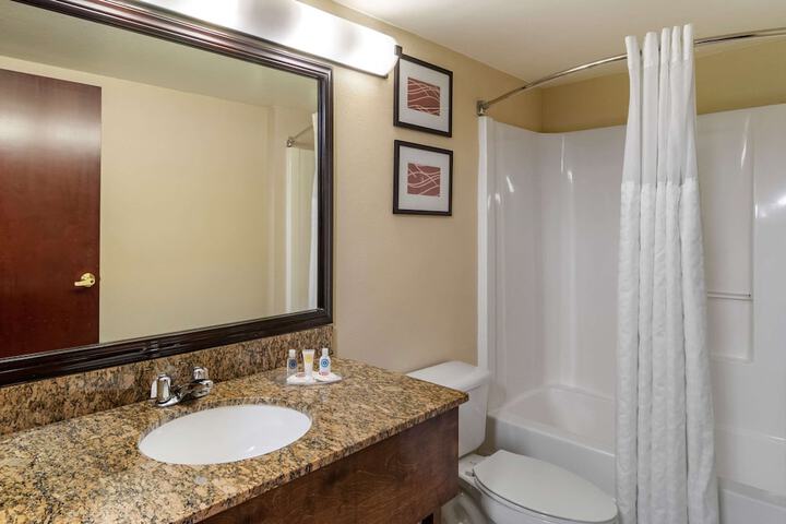 1 King Bed Accessible (7 of 15)
