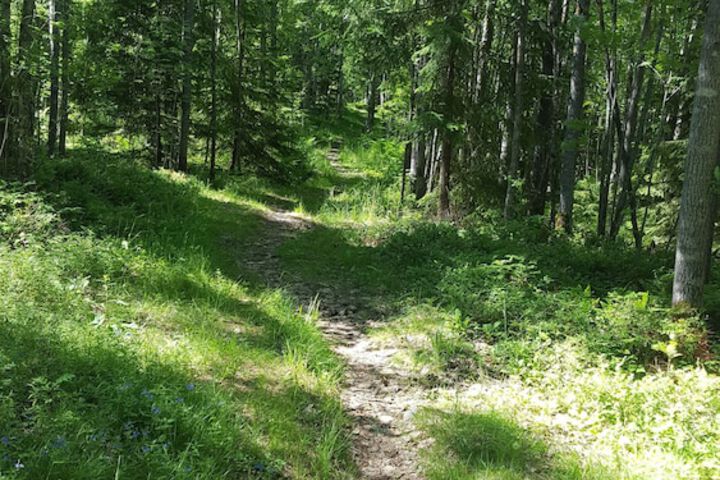 Property Grounds 28 of 38
