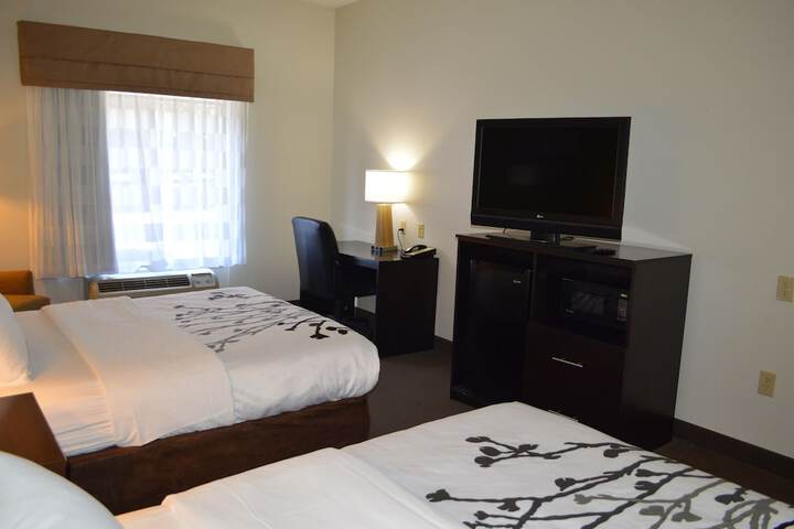 2 Queen Beds (4 of 17)