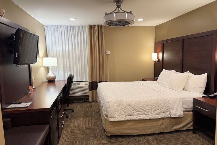 1 Bedroom Executive King Bed Sofa (18 of 36)