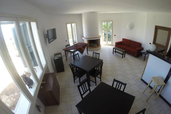 Photo 17
