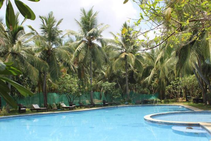 Photo 12