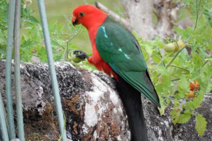 Property Grounds 56 of 63