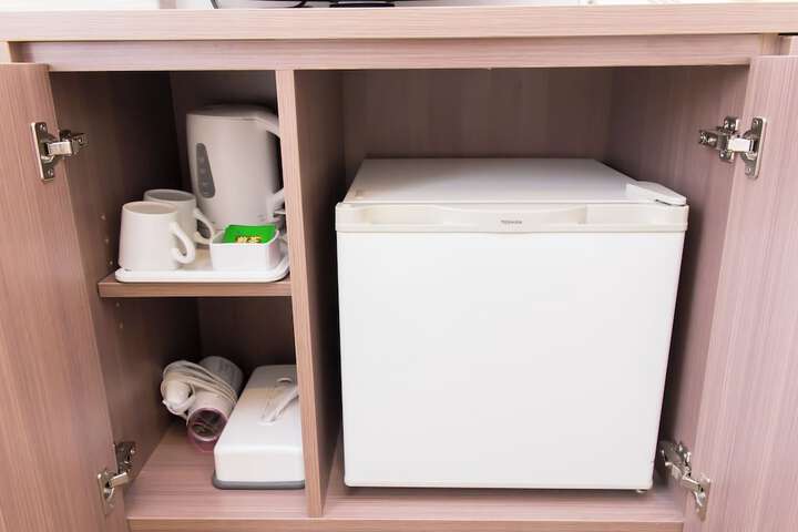 Mini-refrigerator