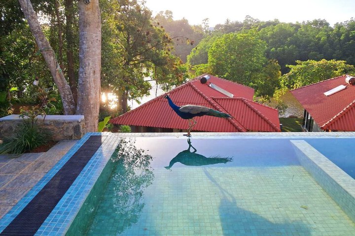 Pool 39 of 77