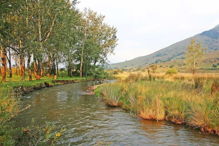 Property Grounds 17 of 22